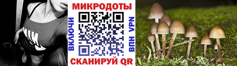 darknet как зайти  Чегем  Псилоцибиновые грибы MAGIC MUSHROOMS  ссылка на мегу онион 